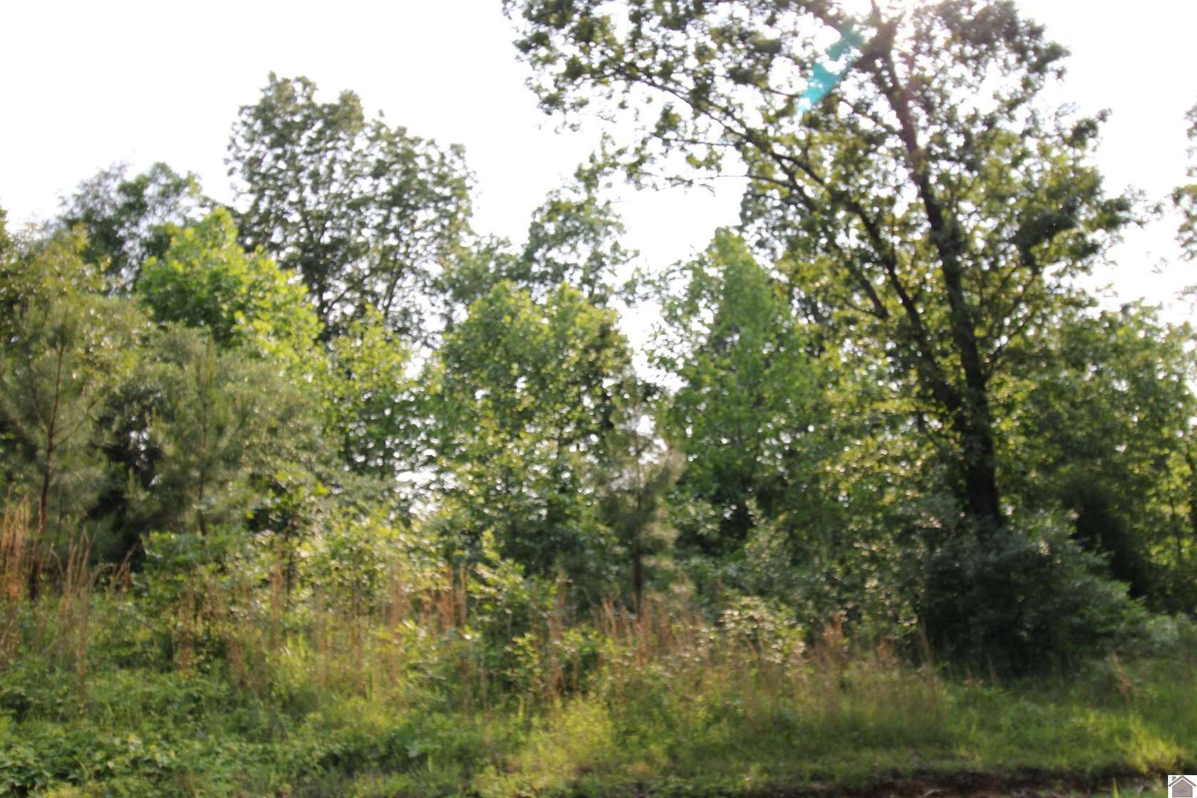 0.4 Acres of Residential Land for Sale in Gilbertsville, Kentucky