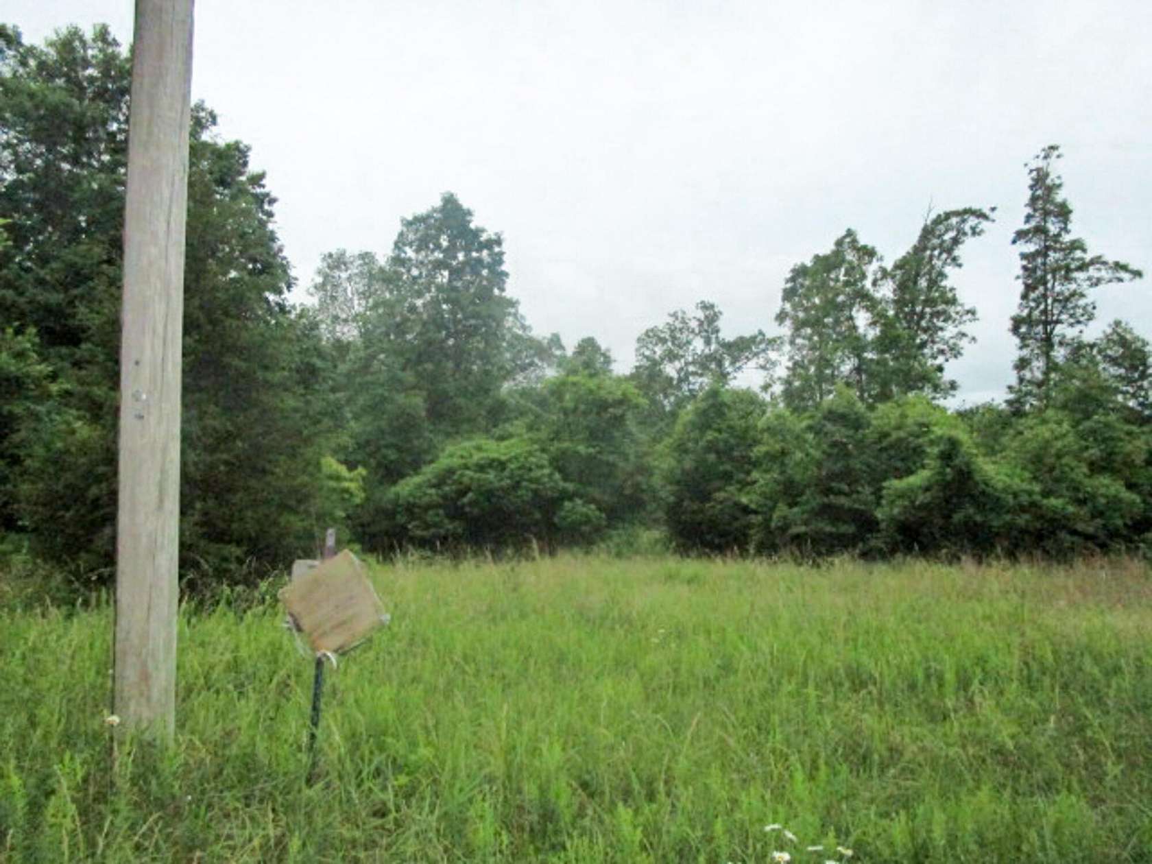 20 Acres of Recreational Land for Sale in Mountain View, Missouri