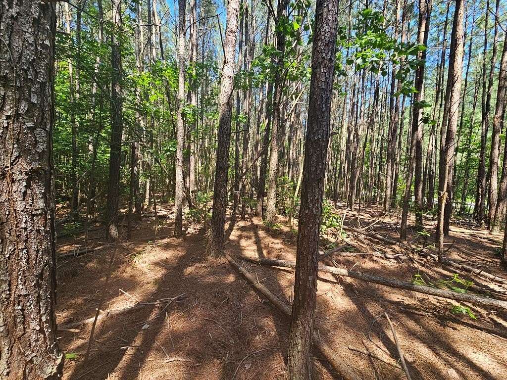 7.33 Acres of Land for Sale in Heathsville, Virginia