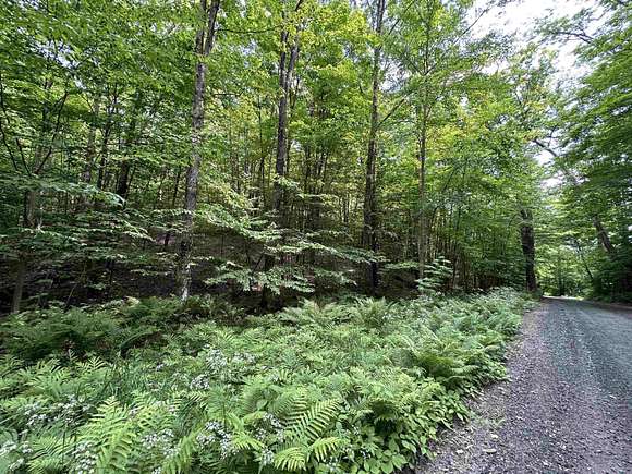 10.8 Acres of Land for Sale in Bethel, Vermont