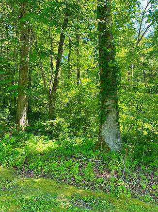 Residential Land for Sale in Robbinsville, North Carolina