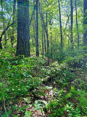 1.1 Acres of Residential Land for Sale in Robbinsville, North Carolina