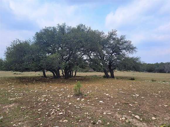42.95 Acres of Land for Sale in Eldorado, Texas
