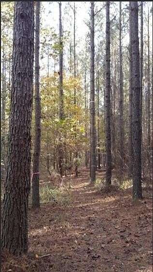 21.4 Acres of Land for Sale in Juliette, Georgia