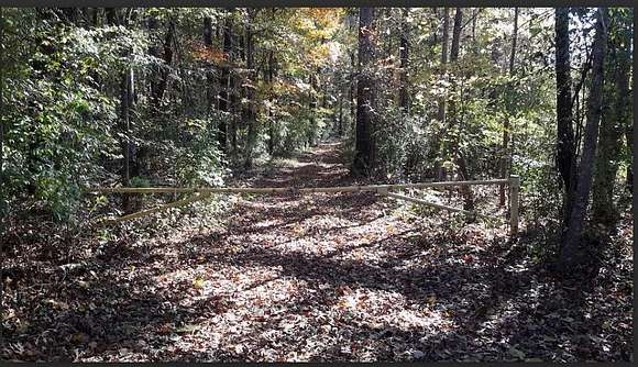 21.38 Acres of Land for Sale in Juliette, Georgia
