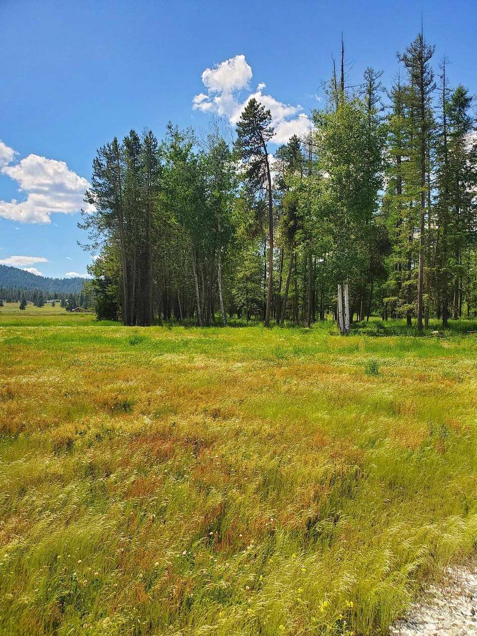 30 Acres of Agricultural Land for Sale in Deer Park, Washington