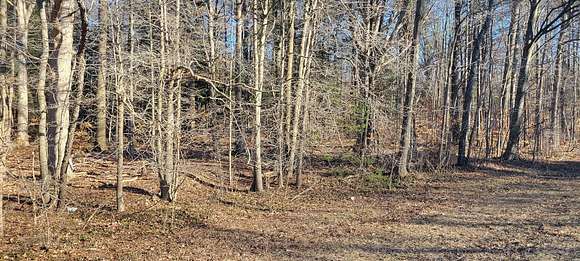 6.59 Acres of Land for Sale in Grand Haven, Michigan