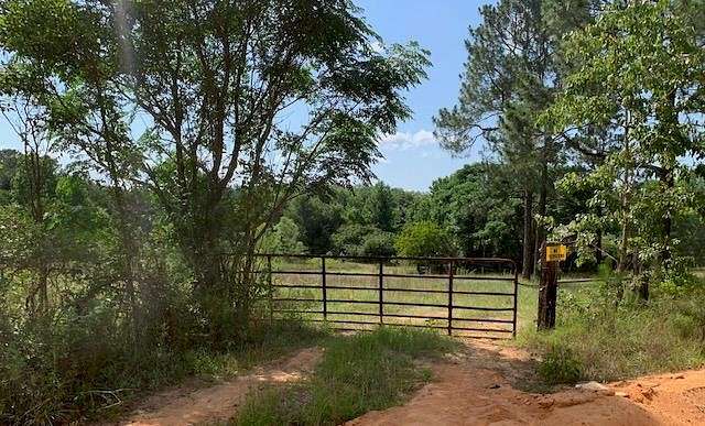 15 Acres of Land for Sale in Mauk, Georgia