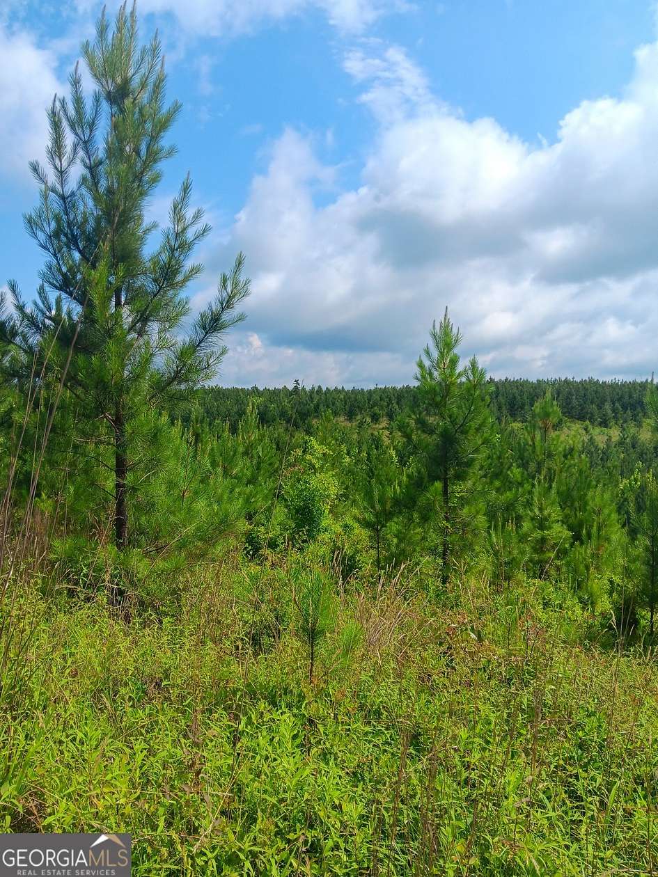 229.97 Acres of Recreational Land for Sale in Sparta, Georgia