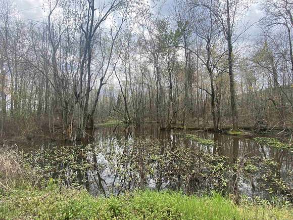 98 Acres of Land for Sale in Brinkley, Arkansas