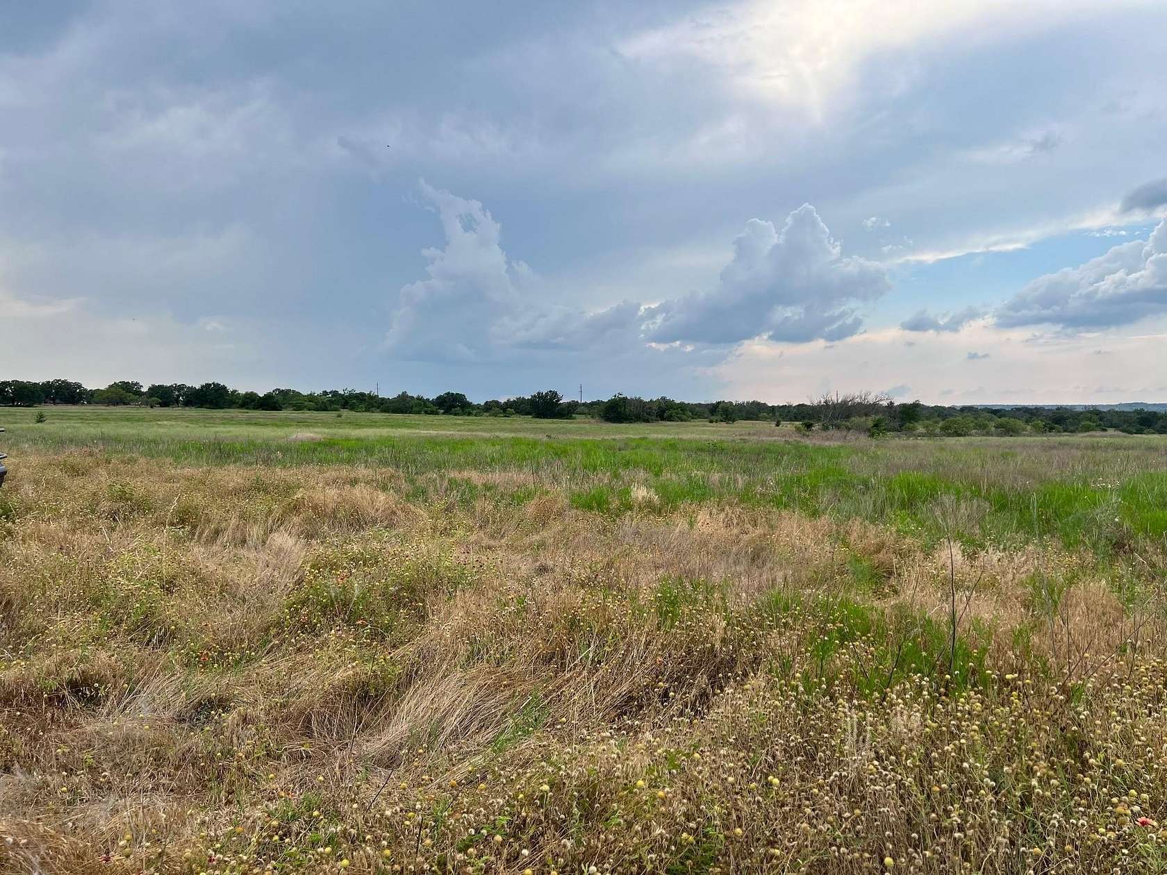 20 Acres of Recreational Land for Sale in Hamilton, Texas