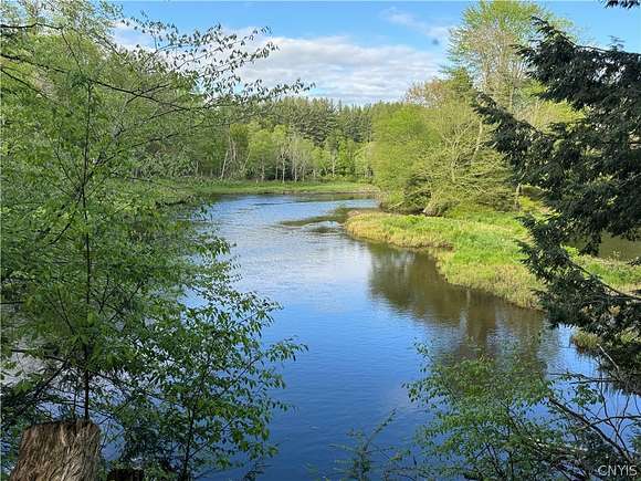 91 Acres of Recreational Land with Home for Sale in Ohio, New York