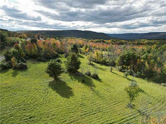 64.6 Acres of Recreational Land for Sale in Urbana, New York