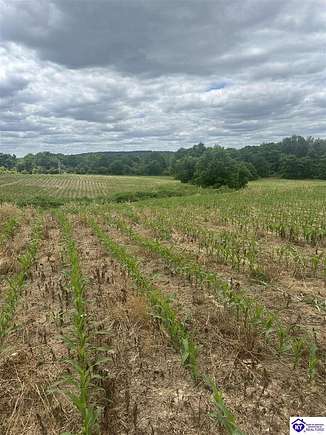 21.03 Acres of Land for Sale in Ekron, Kentucky