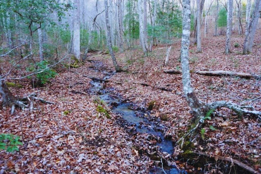 1.35 Acres of Residential Land for Sale in Hayesville, North Carolina