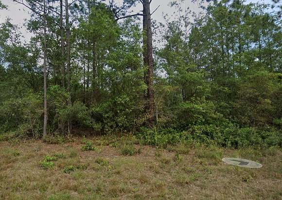 0.23 Acres of Residential Land for Sale in Georgetown, Florida