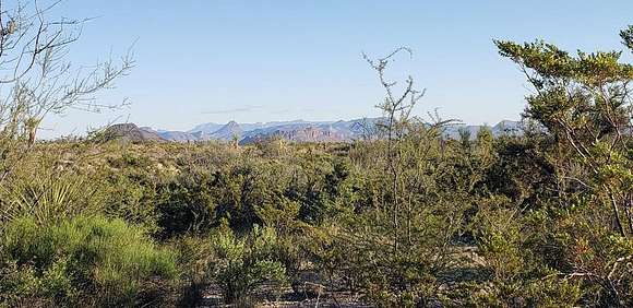 20 Acres of Recreational Land for Sale in Terlingua, Texas