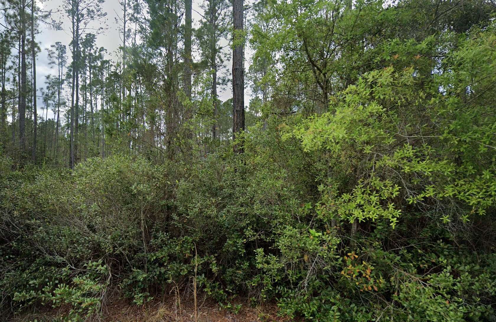 0.23 Acres of Residential Land for Sale in Georgetown, Florida
