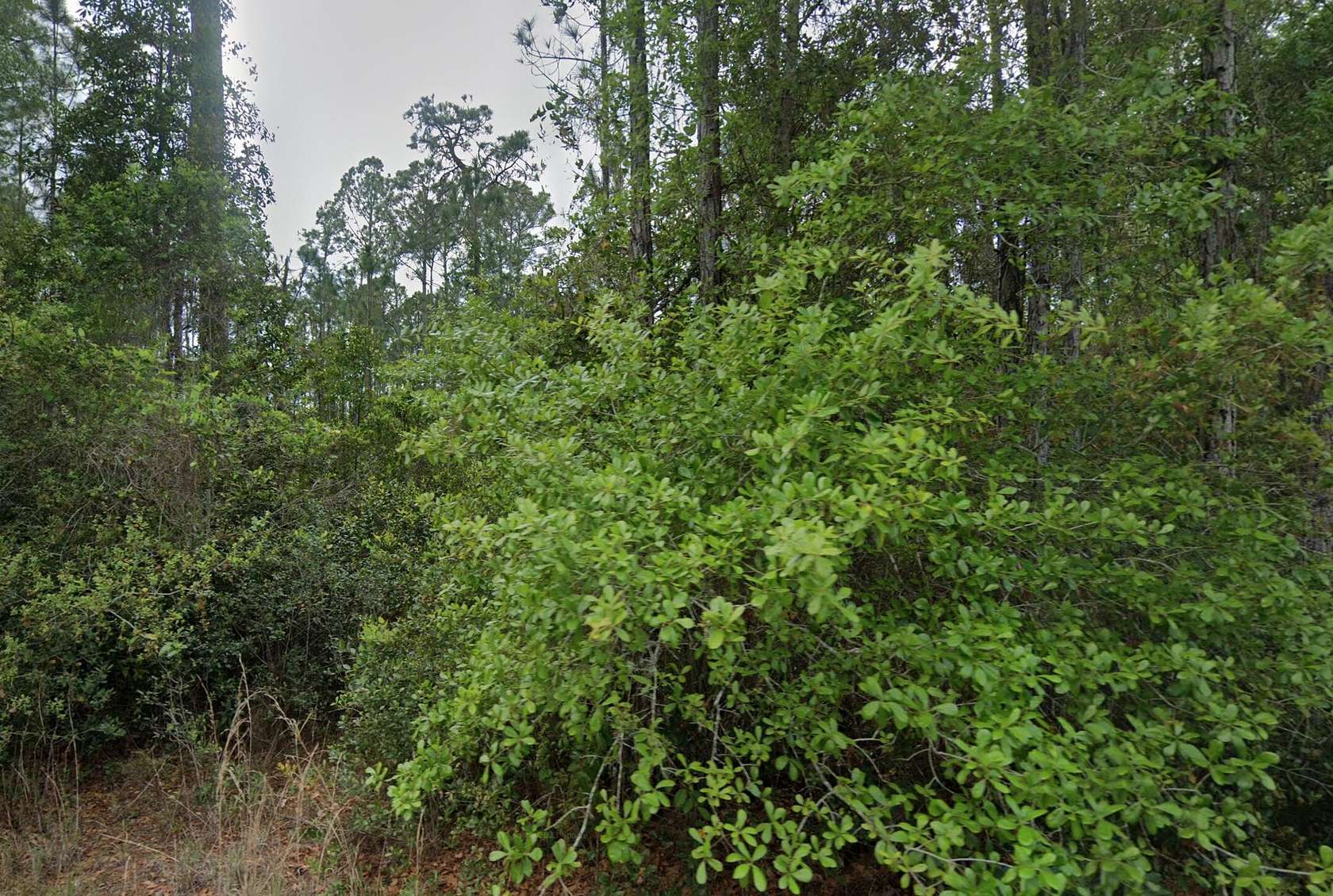 0.23 Acres of Residential Land for Sale in Georgetown, Florida