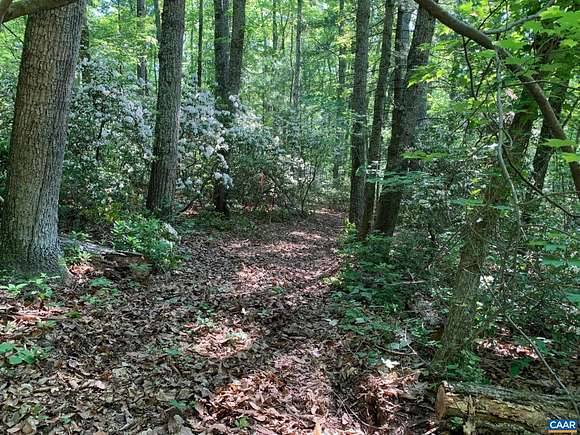 27.03 Acres of Agricultural Land for Sale in Haywood, Virginia