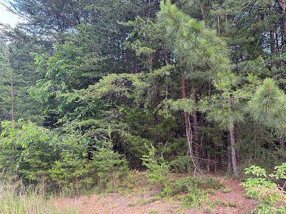 7.85 Acres of Residential Land for Sale in Prospect, Virginia