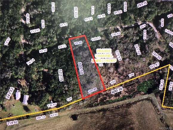 0.68 Acres of Land for Sale in Hernando, Florida