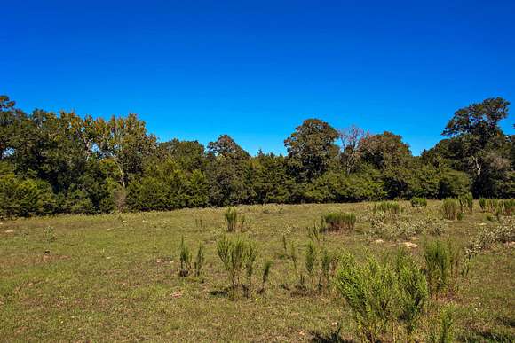 336 Acres of Recreational Land for Sale in Bryan, Texas