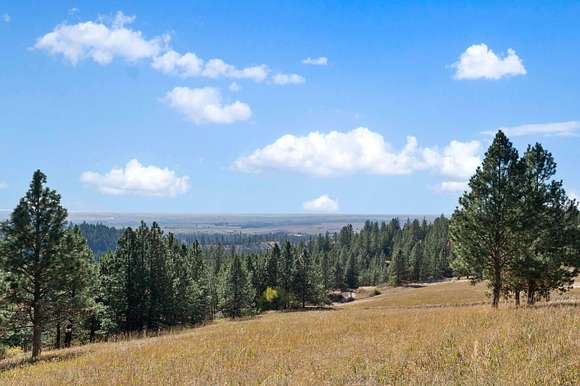20 Acres of Recreational Land & Farm for Sale in Valleyford, Washington
