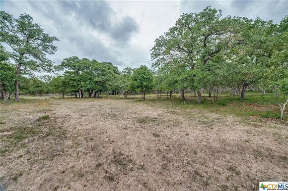28.99 Acres of Recreational Land for Sale in Stockdale, Texas