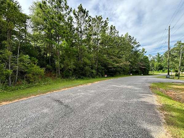 0.45 Acres of Residential Land for Sale in Abbeville, Alabama