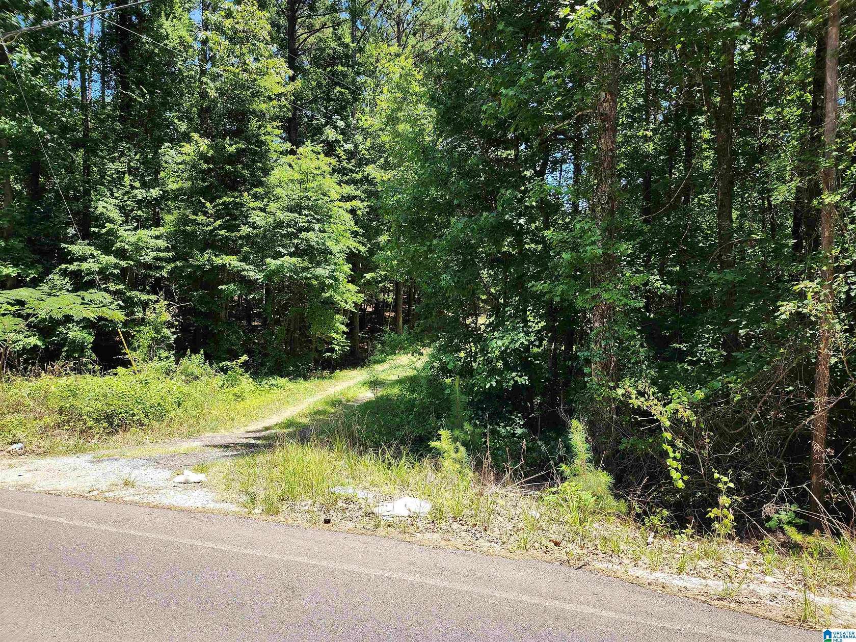 5.8 Acres of Land for Sale in Pell City, Alabama