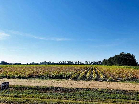 39.1 Acres of Land for Sale in Trumann, Arkansas