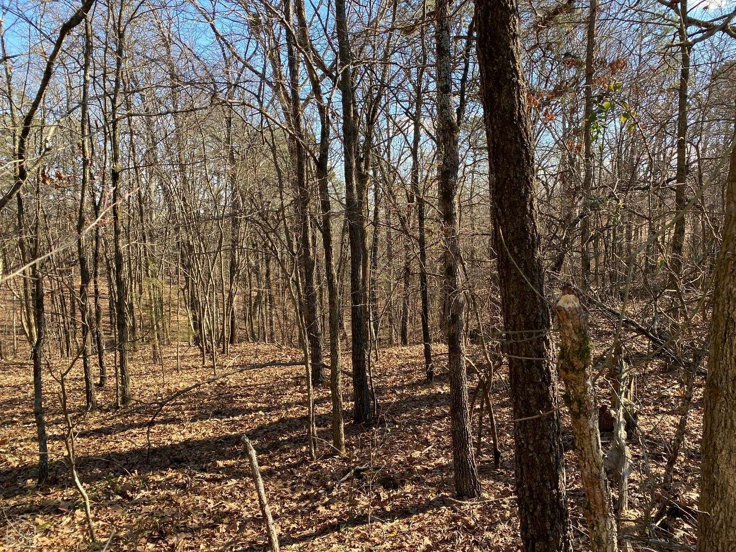 9 Acres of Residential Land for Sale in Harrisburg, Arkansas