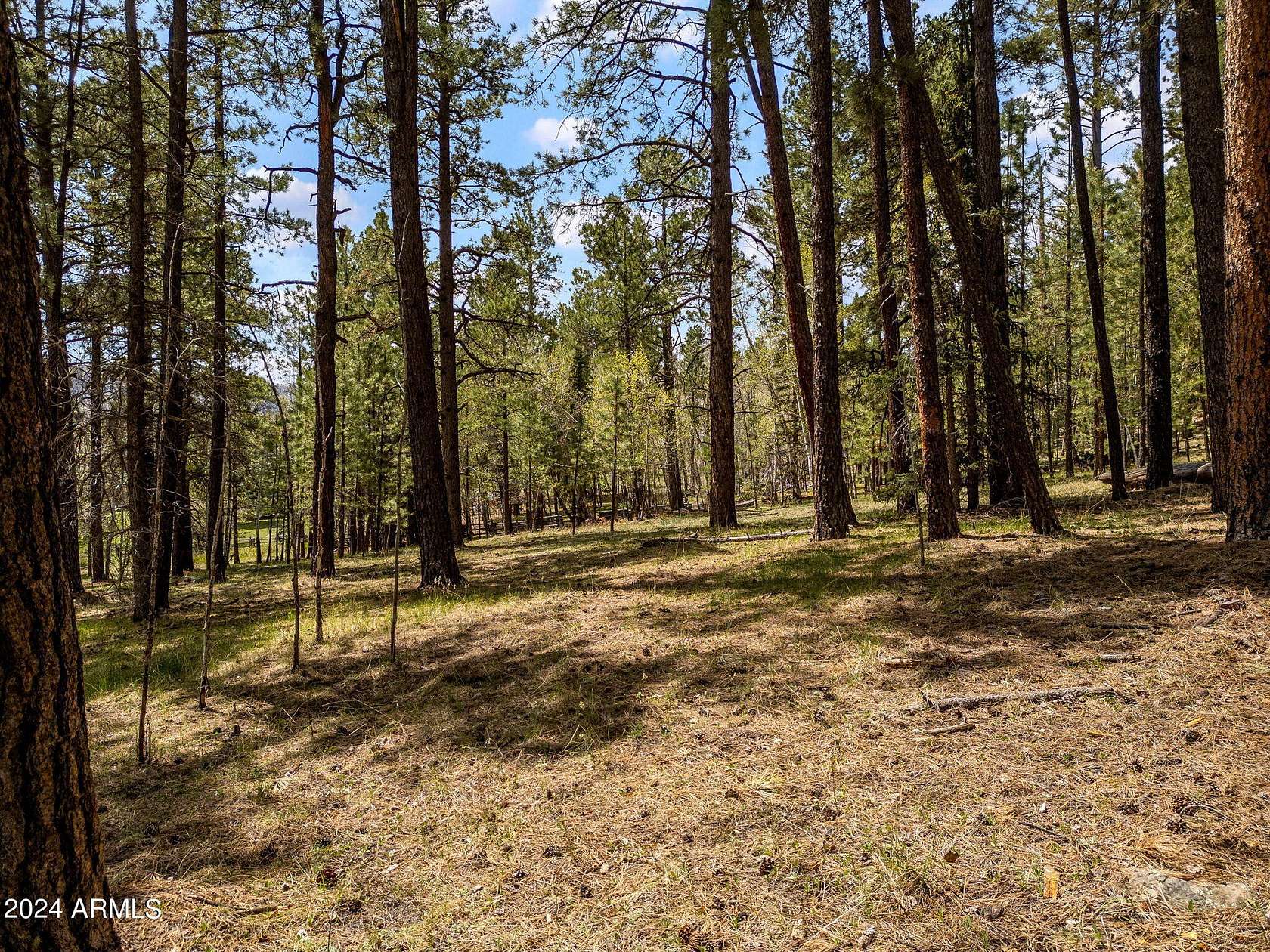 1.29 Acres of Residential Land for Sale in Greer, Arizona