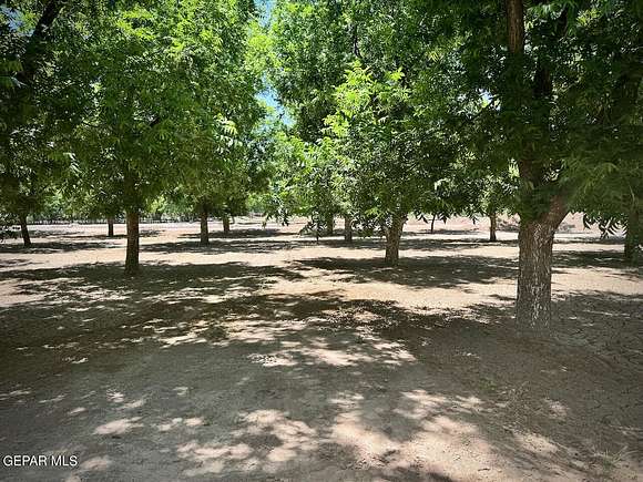 5 Acres of Residential Land for Sale in Anthony, New Mexico