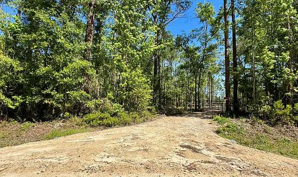 5 Acres of Land for Sale in Jennings, Florida