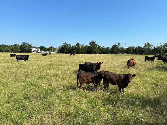 300 Acres of Recreational Land & Farm for Sale in Wilburton, Oklahoma