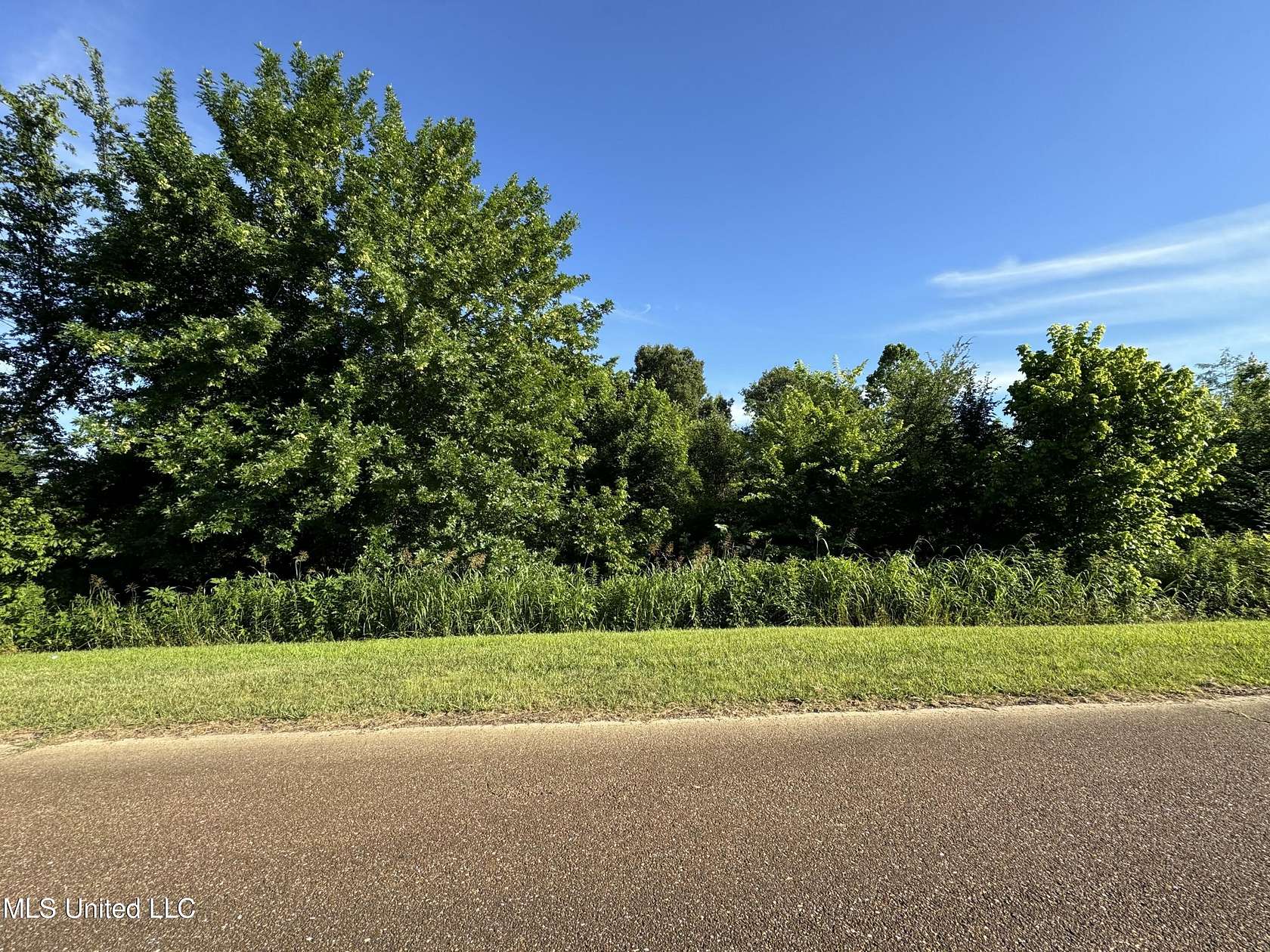 3 Acres of Residential Land for Sale in Hernando, Mississippi