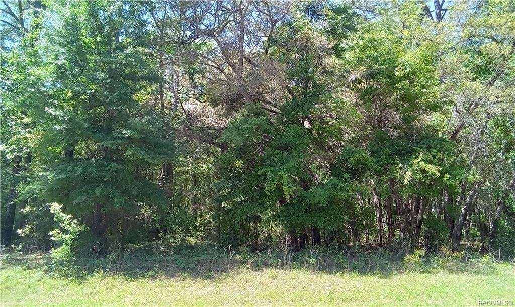 1 Acres of Land for Sale in Hernando, Florida