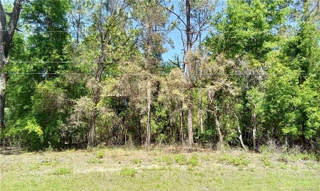 1 Acres of Land for Sale in Hernando, Florida