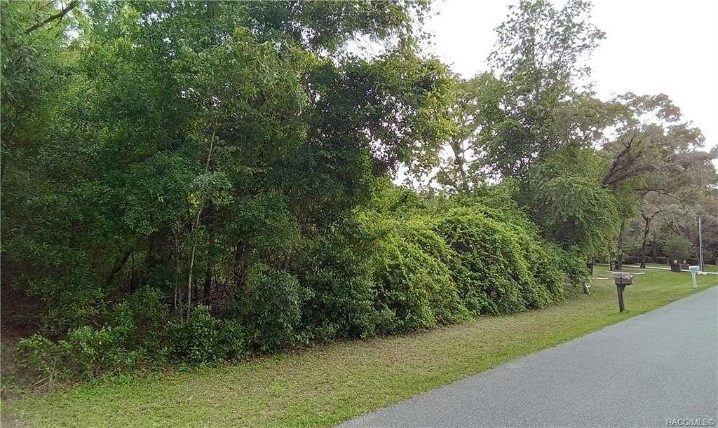 0.52 Acres of Land for Sale in Lecanto, Florida