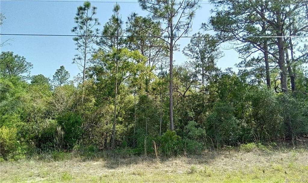 1 Acres of Residential Land for Sale in Citrus Springs, Florida