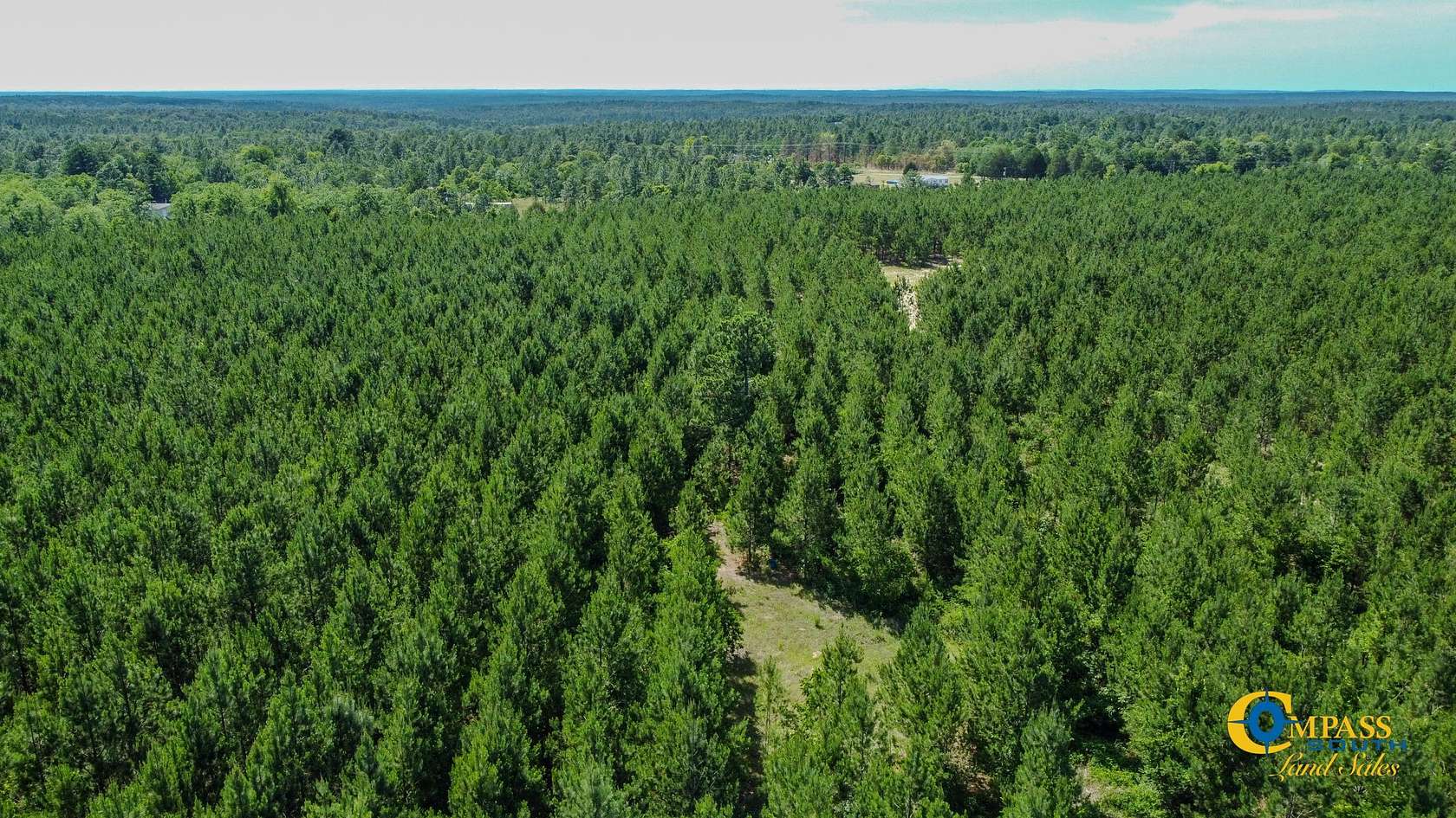40 Acres of Recreational Land for Sale in Mauk, Georgia