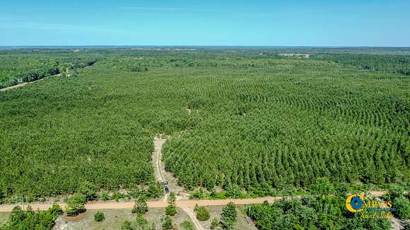 57 Acres of Recreational Land for Sale in Mauk, Georgia