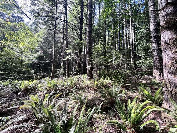 9.1 Acres of Land for Sale in Sixes, Oregon