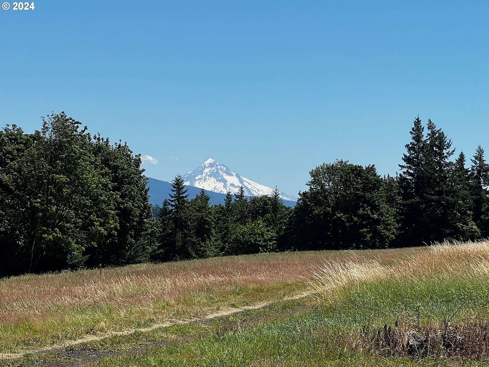 10 Acres of Land for Sale in Washougal, Washington