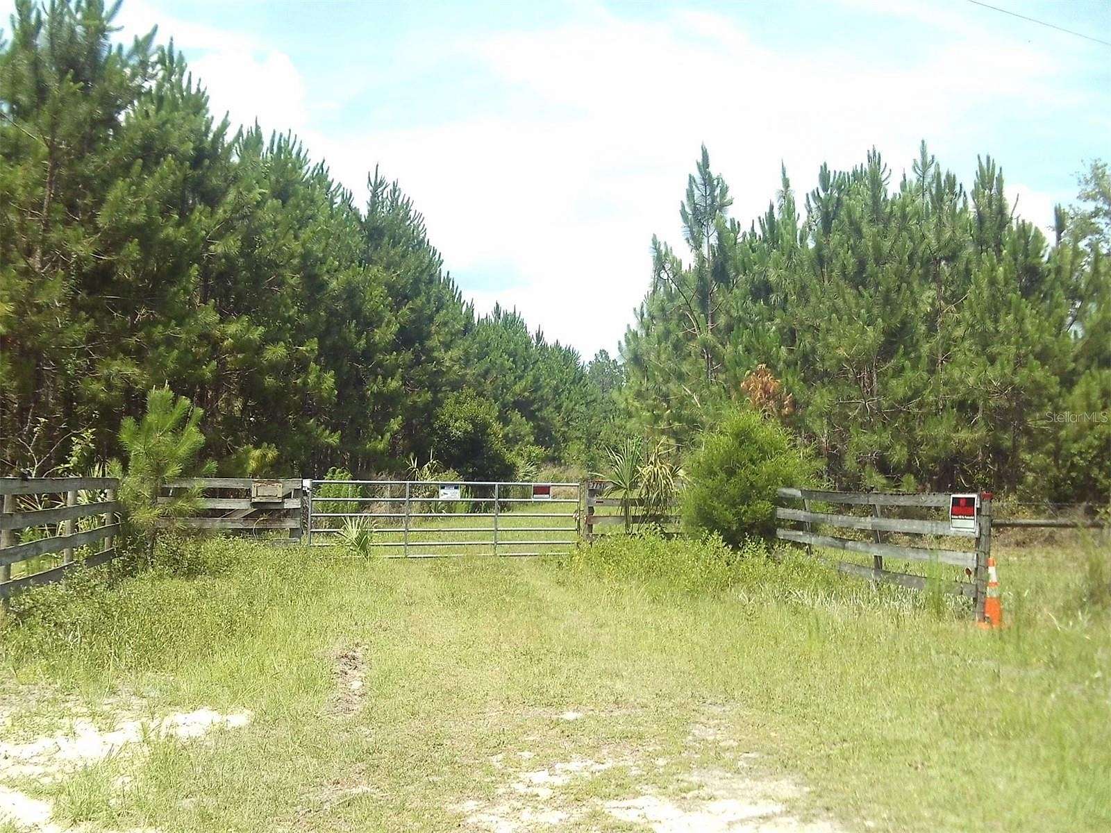 82.67 Acres of Land for Sale in Chiefland, Florida