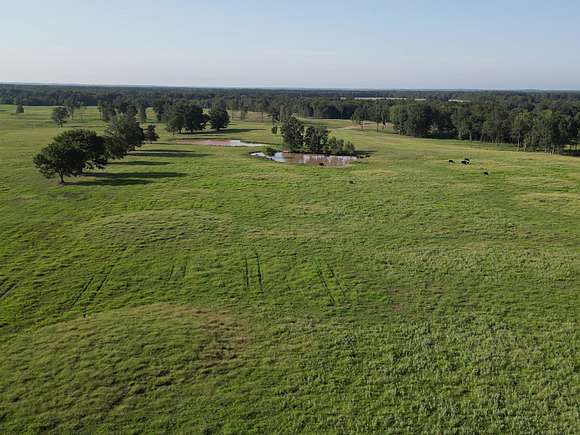 1100 Acres of Recreational Land & Farm for Sale in Simms, Texas