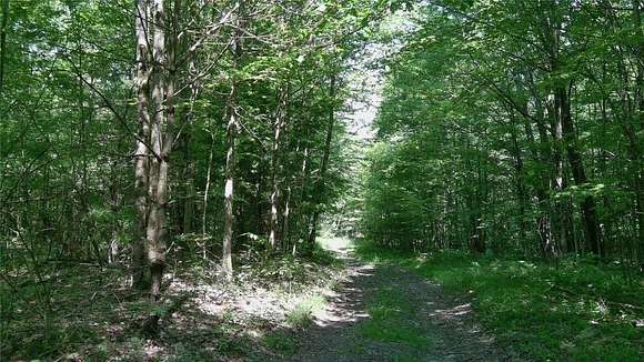 37 Acres of Improved Recreational Land for Sale in Nineveh, New York