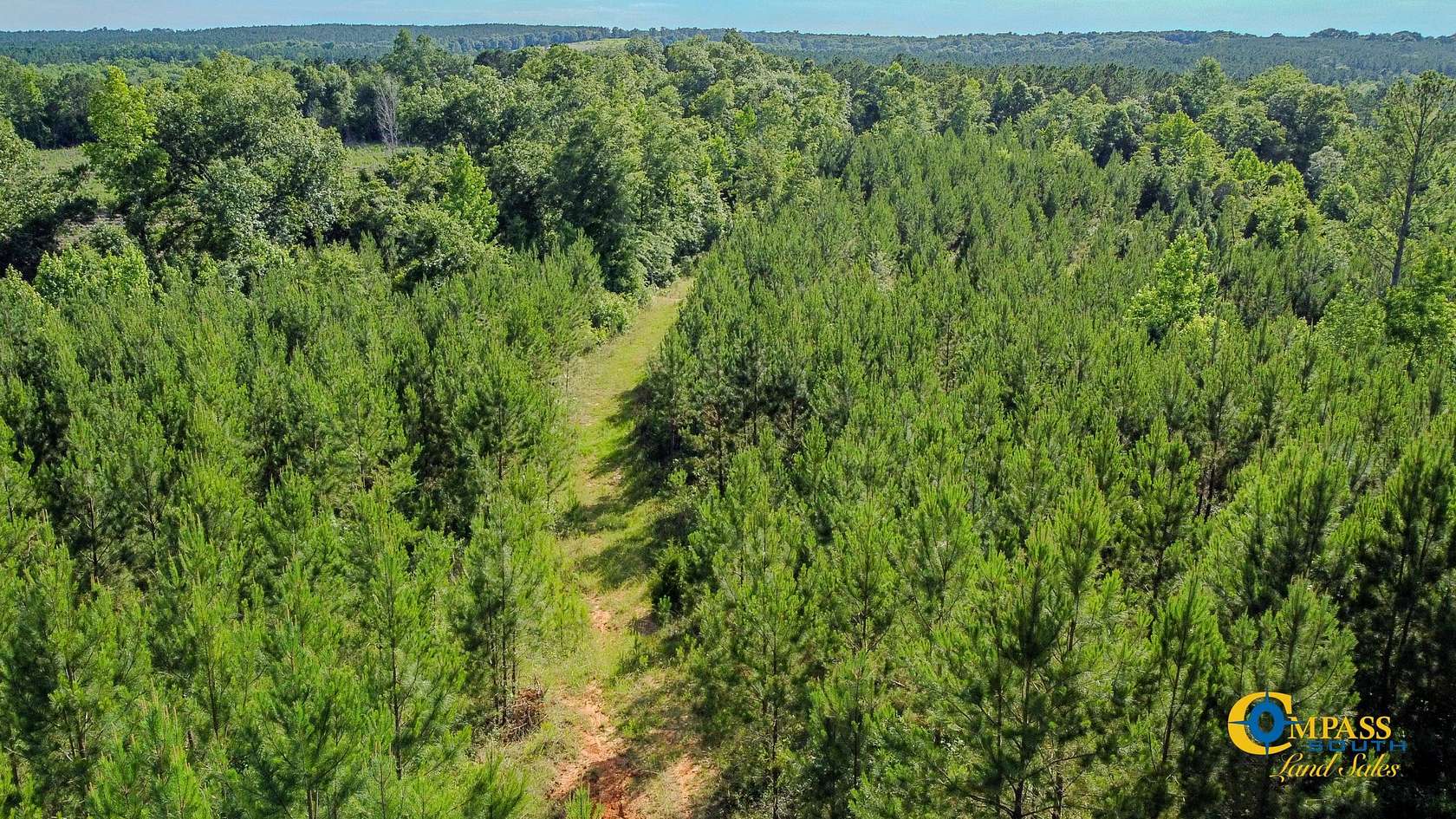 9 Acres of Recreational Land for Sale in Buena Vista, Georgia